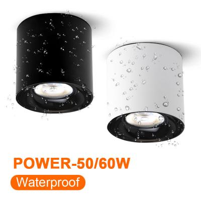 China Modern LED Die Cast Aluminum Waterproof Surface Mounted Bottom Light 50W 60W Professional Outdoor Application for sale