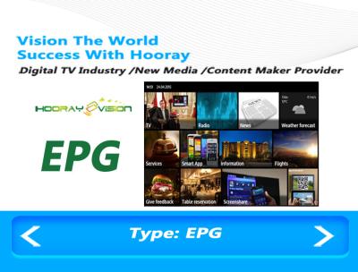 China EPG Conditional Access Software Log Management , SQL Database Management Software for sale