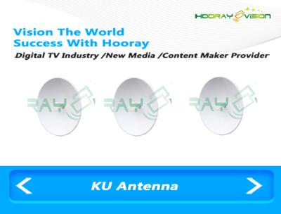 China Linear Polarization Ku Band Antenna 20W 35dBi 10-14 GHz Frequency Range for sale