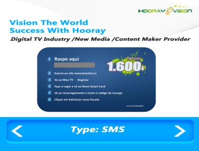 China DTV B / S Conditional Access Software Simple Client Subscriber Management System for sale