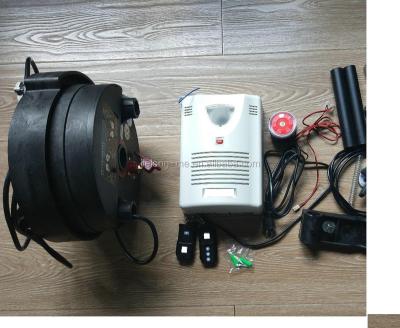 China Australia style modern roller door motor for sale