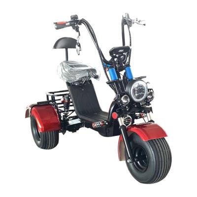 China Passenger 800W 3 wheel electric tricycle outdoor sport tuk tuk adult scooters off road electric tricycle for sale