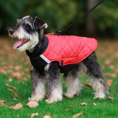 China 2022 New Designer Viable Comfortable Dog Clothes Warm Winter Pet Coat, Cotton-padded Clothes Cat Pet, High Quality Adjustable for sale