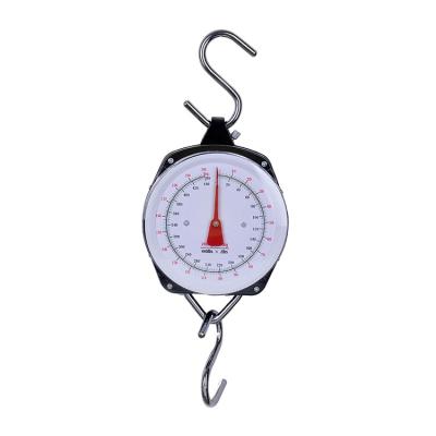 China Household Steel Portable Spring Luggage 200kg 250kg Mechanical Painted Hanging Scale 29x19x4.8CM for sale