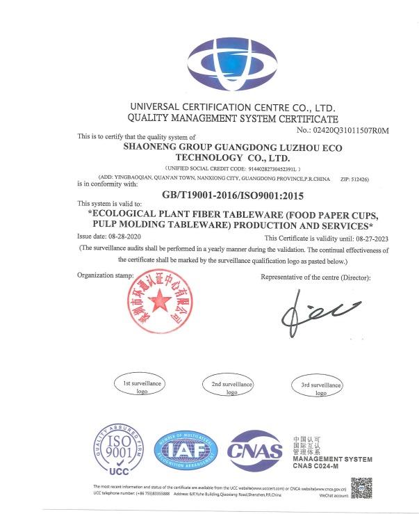 ISO9001 - Shaoneng Group Guangdong Luzhou Eco Technology Co., Ltd.