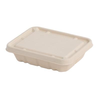 China water repellent & Wholesale Biodegradable Good Quality Meal Oil Repellant Disposable Box for sale