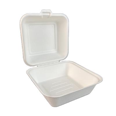 China Hot Sale 6inch Biodegradable Food Boxes 100% Compostable Food Packaging For Restaurant for sale