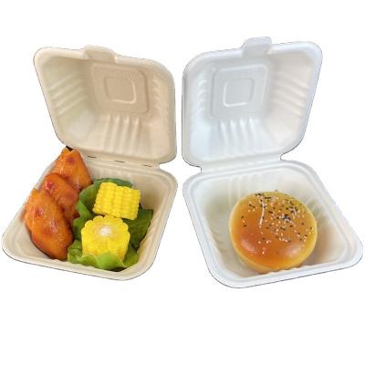 China 2021 factory price biodegradable fiber wholesale pulp bagasse biodegradable food packaging for sale