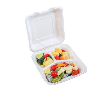 China Shaoneng Luzhou Compartment Container Bagasse Food Containers Biodegradable Boxes for sale