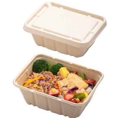 China Disposable 9 inch CLASSIC biodegradable natural paper bento lunch box for sale