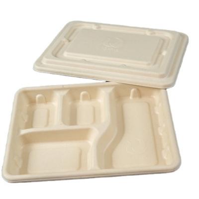 China Biodegradable Compartment Tray Paper Pulp Food Packaging Compostable Dish for sale