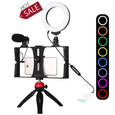 China Aluminum Puluz 4 in 1 Vlog Youtube Live Broadcast Video With Tripod Lighting Led Ring Light With Tripod Stand Phone Holder for sale