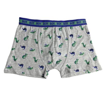 China Kids Breathable Custom Clothes Cheap Boxer Briefs Teen Boy Underwear Wholesale/ODM/OEM for sale