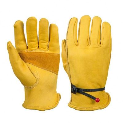 China Whip Material Protective Hand Safety Work Gloves Gardening Cutting Construction Farm Motorcycle Elastic Wrist Leather Safety Work Gloves for sale