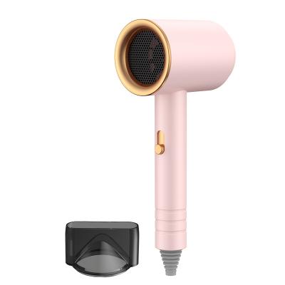 China Ion factory direct sales Net Celebrity Negative Blue Negative Ion Hammer Hair Dryer for sale