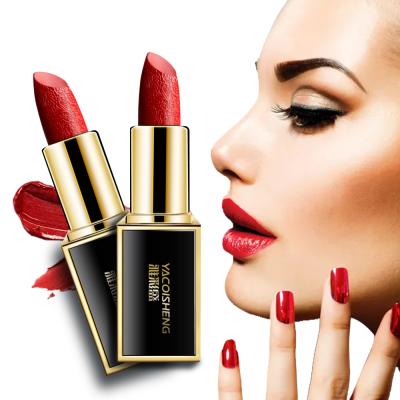 China Matte Lipstick Long Lasting Smooth Waterproof Glossy Lipstick Falling Lipstick for sale