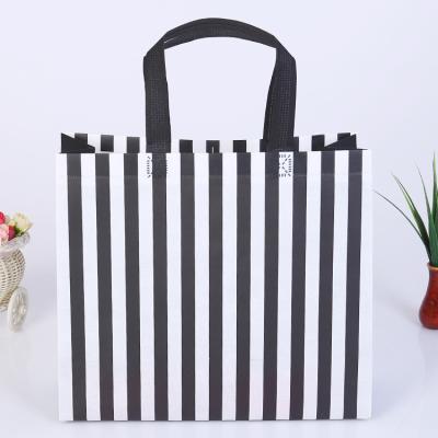 China Eco - Friendly Promotion Best - Seller New Eco - Friendly Non Woven Laminated Shopping Bag for sale