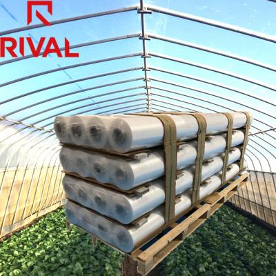 China Normal Use 11.11 Festival Greenhouse Agricultural Film For Wholesale for sale