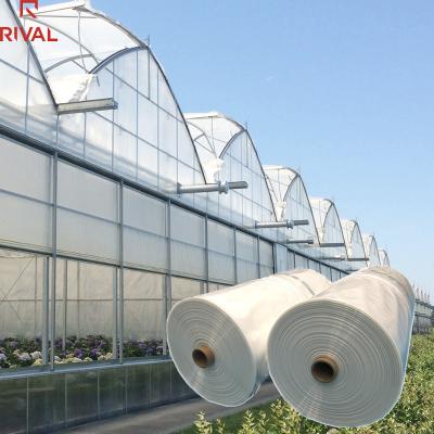 China Good Quality 200 Micron Polythene Greenhouse Plastic Sheet Moisture Proof Durable UV Blocking Agricultural Suppliers for sale