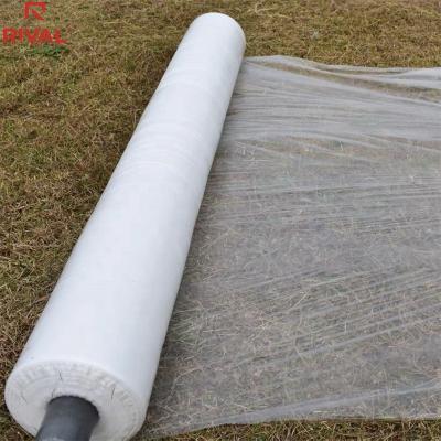 China UV Resistant Plant Direct LDPE Agriculture Plastic Mulch Film Black Silver PE Plastic Mulch Film for sale