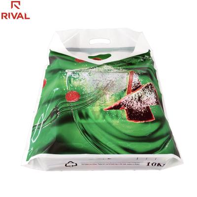 China Recyclable Biodegradable Custom Design Logo Poly Printing Die Cut Shopping Carrying Big Plastic Bag for sale