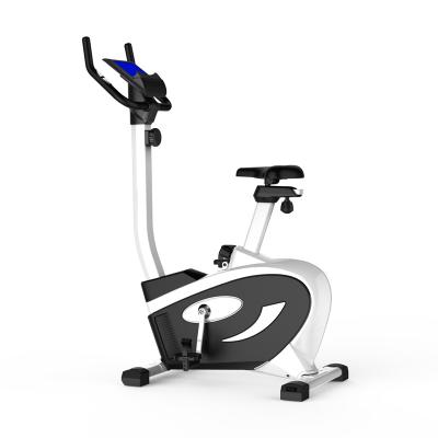 China 6KG Cardio Control Magnetic Home Exercise Bike Machine Stationary Exercise Bike for sale