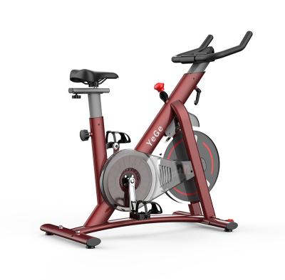 China Magnetic Spin Bike Best Spin Belt Drive Magnetic Bikes For Gym Home Master Commercial Use Electro for sale