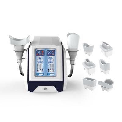 China Het Vermageringsdieetmachine Twee Handvat 6 van ISO90 1000W Cryolipolysis Hoofden Te koop