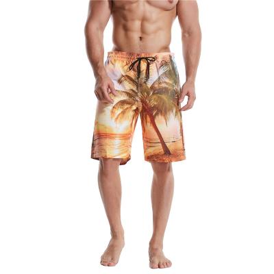 China QUICK DRY Nylon Shorts Summer Fashion Coconut Tree Sublimation Print Hawaii Beach Shorts for sale