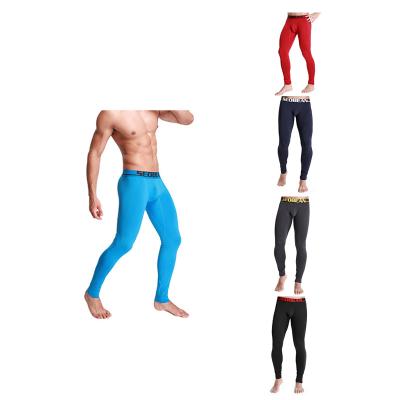 China New Fashion Thermal Male Hip Elastic Long Pants Underwear Lifting Thermal Men for sale