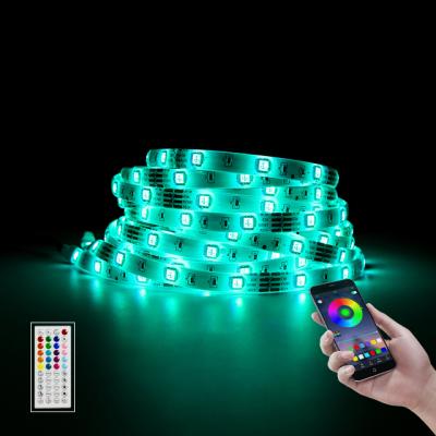 China Garden Waterproof Flexible LANDSCAPE RGB 5Meter DC12V LED Light Strip IP65 LED Strip 60LEDs/M Led Strip Light for sale