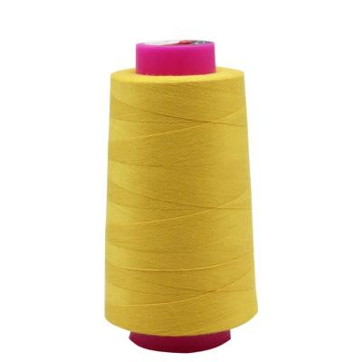 China Yizheng Fiber Wholesale High Quality 202 Polyester 202 Spun Sewing Thread 20s/2 High Tenacity for sale