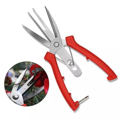 China Mini Vegetable Fruit Tree Bypss Folded Handle Shears Scissor DIY Tool Tree Cutter Anti-Slip Adjustable Pruners for sale