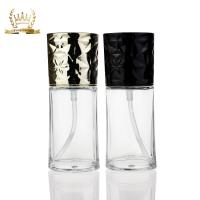 China Nieuwe Lege Vloeibare de Stichtingsfles 30ml van de Ontwerp Kosmetische Make-up met Pomp F113 Te koop