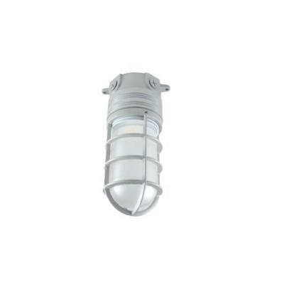 China Integrated Ceiling Mount LED Vapor Proof Industrial Jelly Jar ILEDINGJ-19 for sale