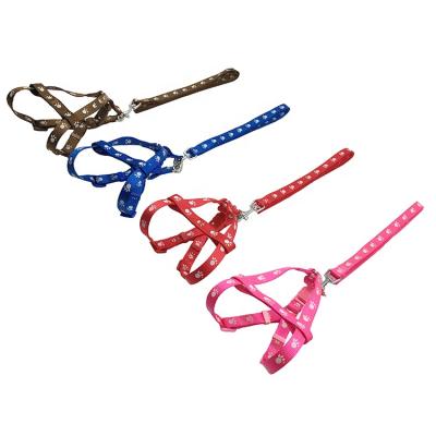 China 2021 Sustainable New Design Beautiful Custom Printing Adjustable Polyester Dog Harness And Leash for sale