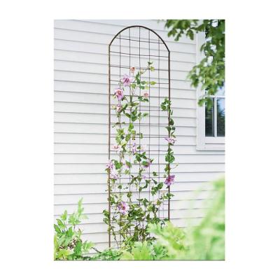 China New Type Hot Selling Waterproof Quality Expanding Arch Garden Trellis For Garden Wholesale for sale