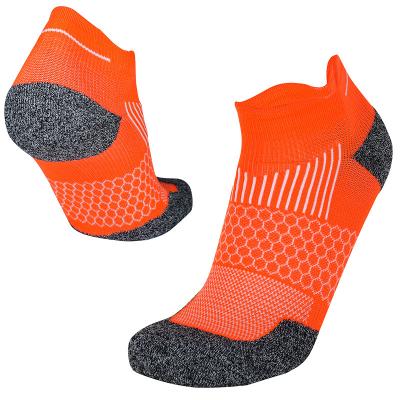 China New Design Mens Honeycomb Arch Support Terry Cushion Short Sports Socks QUICK DRY for sale