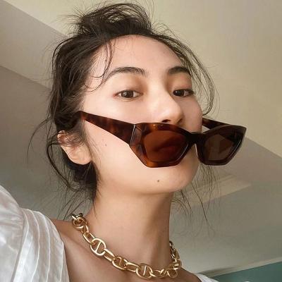 China Fashionable Anti Polygon UV400 Small Frame Fashion Plastic Cat Eye Jelly Sunglasses Drop Shipping For Female for sale