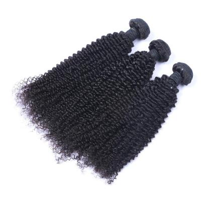 China Curly Raw Virgin Burmese Curly Hair Bundles Kinky Curly for sale