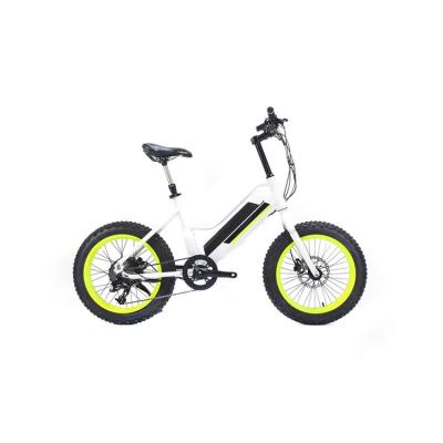 China Customizable High Quality Aluminum Alloy Aluminum Alloy Black 20 Inch Folding Snow Ebike for sale