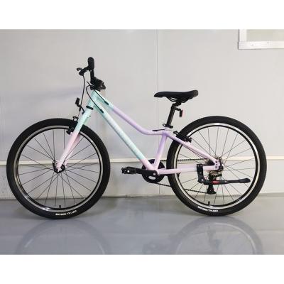 China Fashionable 20 Inch Alloy Frame Children's Bicycle Stock Cycle Children's Bicycle For 10 Years Child for sale