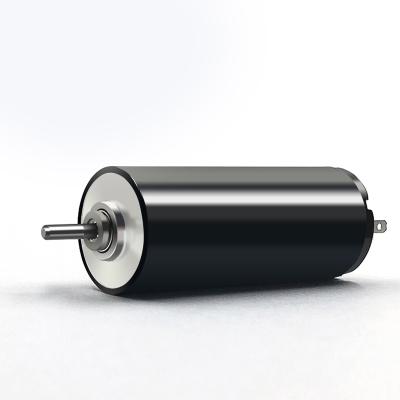 China Totally Enclosed High Strength, High Speed ​​And High Performance Equipment Accessories New DC Brush Cavity Cup Motor for sale