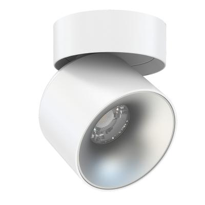 China Modern 12w 4 inch surface mounted led downlight 360 degree adjustable 5cct led downlight surface mounted for sale