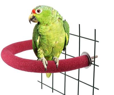 China Viable Pets Cage Application Birds Parrots Holding U Type Perch Frosting Anti Water Spout Paw Toy for sale