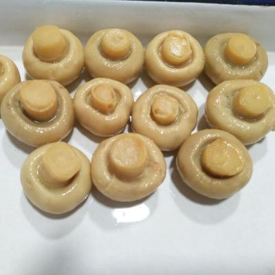 China Canned Private Label Canned Champignon Pure Mushroom PNS /Whole for sale