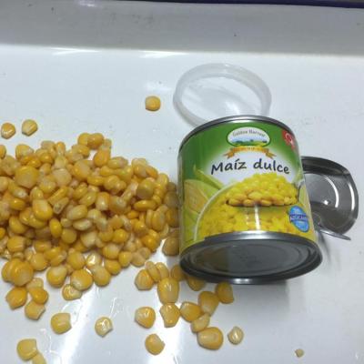 China Tin can yellow corn 130g, 150g, 184g, 284g, 312g, 340g, 400g, 425g, 850g, 2125g, 2500g, 2840g for sale