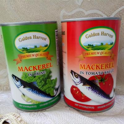 China Canned Mackerel Brine , Canned Mackerel CANNED FOOD in natural oil 425GX24TIN for sale