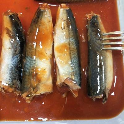 China Canned mackerel in tomato sauce /Canned sardines in tomato sauce 155G X50TIN /425GX24TIN for sale