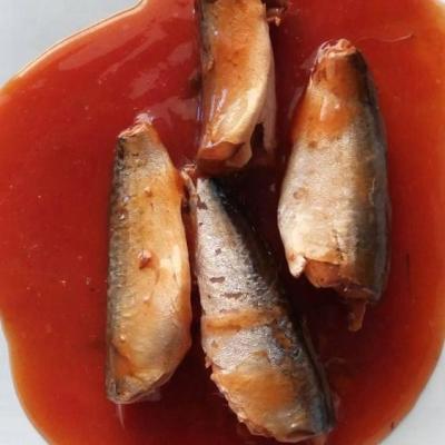 China Canned Canned Seafood Canned Mackerel In Brine /In Oil / In Tomato Sauce 155G / 425G for sale